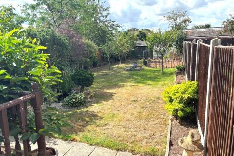 Garden.JPEG