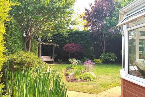 Garden 3.JPG