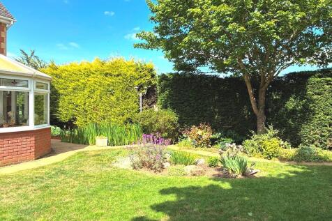 Garden.JPG