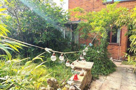 Garden (2).JPG