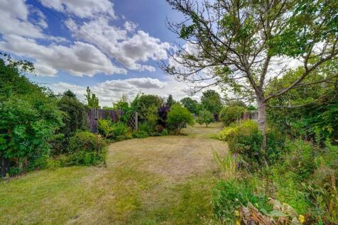 Garden (4).jpg