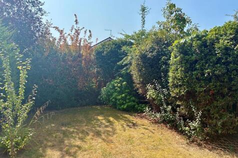 Garden (3).JPEG