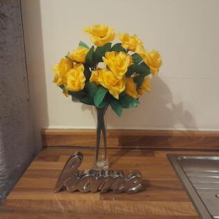 IMG-20250318-WA0004