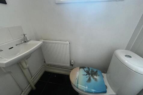 DS Toilet