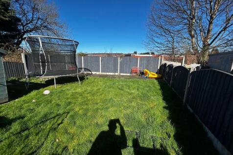 Garden (2)
