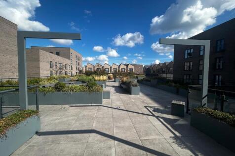 Roof Terrace