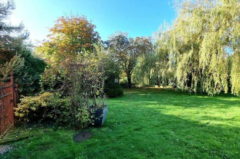 garden4