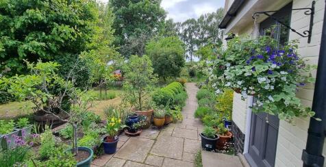garden7