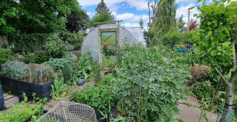 veg garden