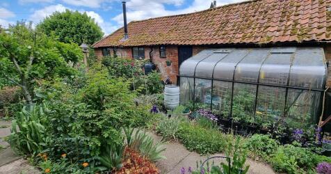 greenhouse