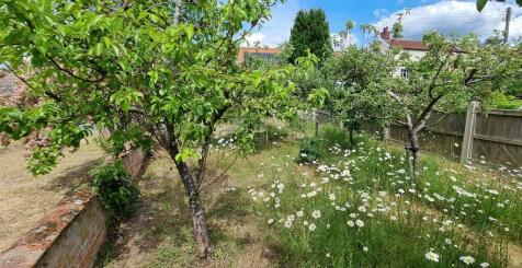 front orchard