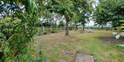garden3