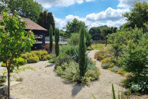 garden6
