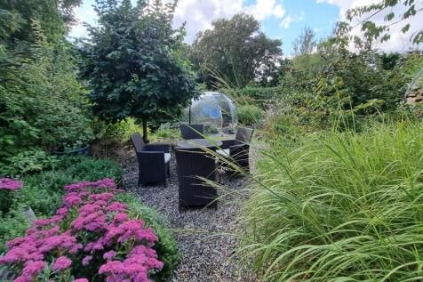 garden3