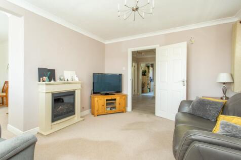 Picture 5