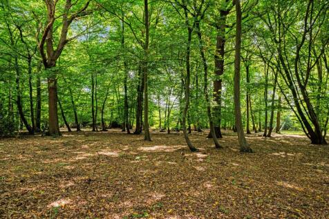 Property Image 32