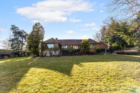 Rear Exterior / Garden