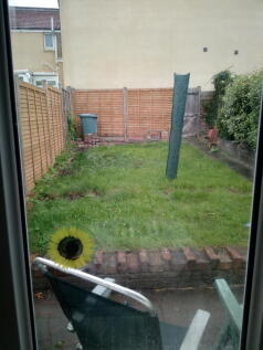 Garden.jpg