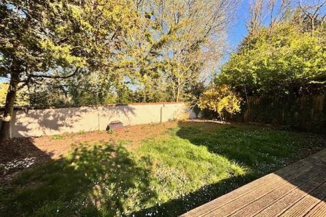 back garden collin lane.jpeg