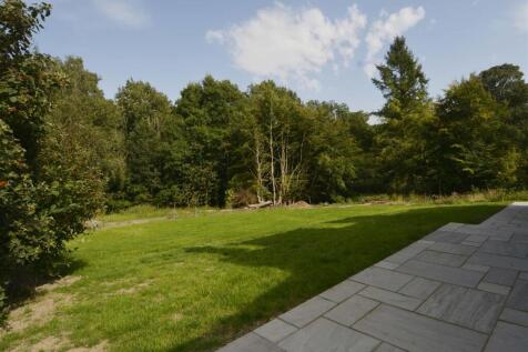 BACK GARDEN.jpg