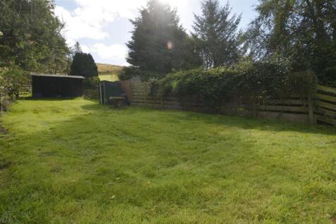 back garden.jpg