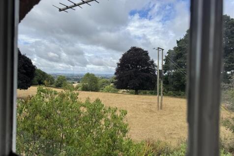 IMG_1947.jpeg
