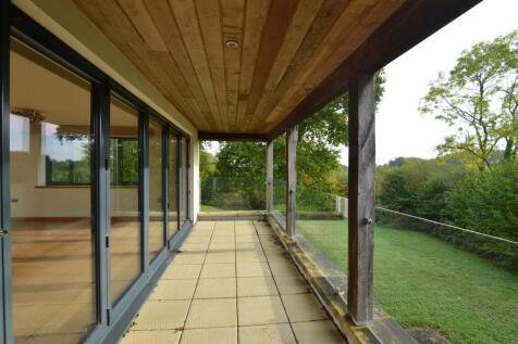TheOak_019.JPG