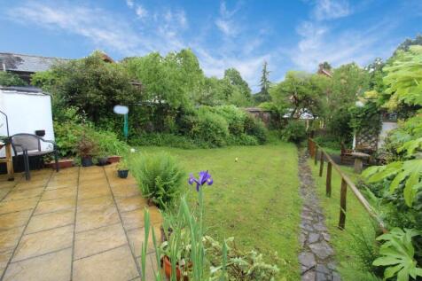garden 4.jpg
