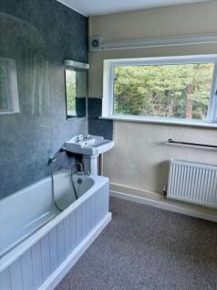 Borderlands Bathroom 1.jpg