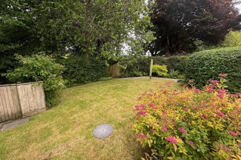 garden 2.jpg