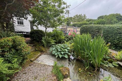 garden 3.jpg
