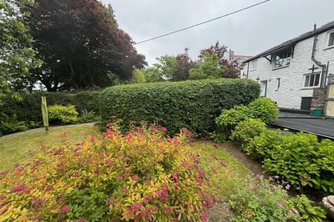 garden.jpg