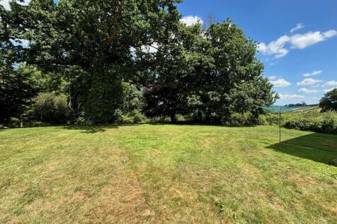 garden.jpg