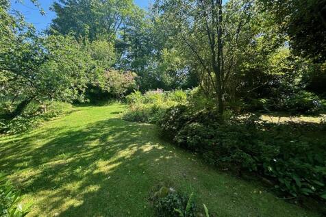 garden 1.jpg