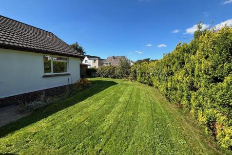 front lawn.jpg