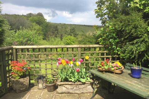 View from terrace