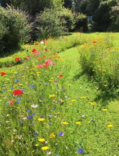 Shared garden