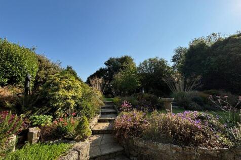 garden 2.jpg