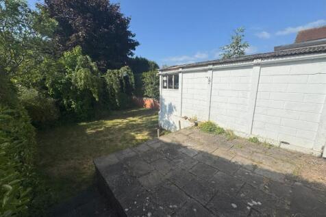 Back garden.jpeg