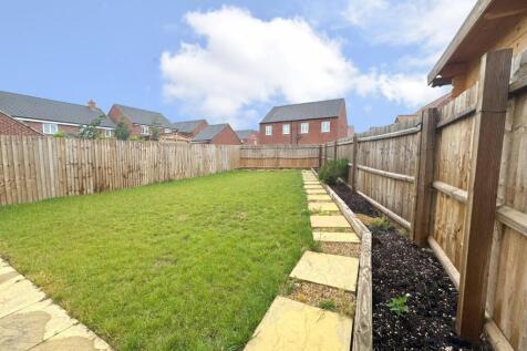 Back garden.jpeg
