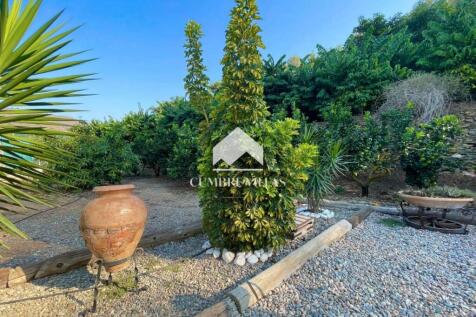 Property Image 62
