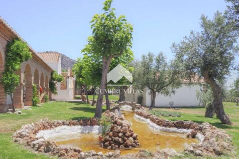 Property Image 24
