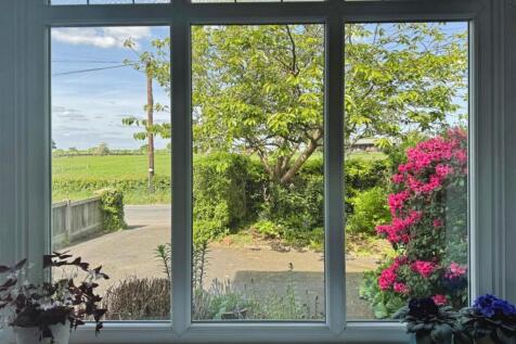 Lounge Window
