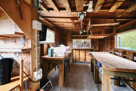 Picture 16