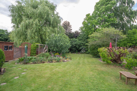 Picture 19