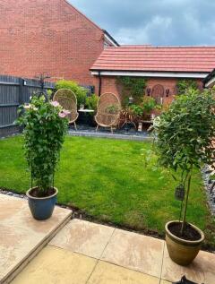 GARDEN 2.jpg