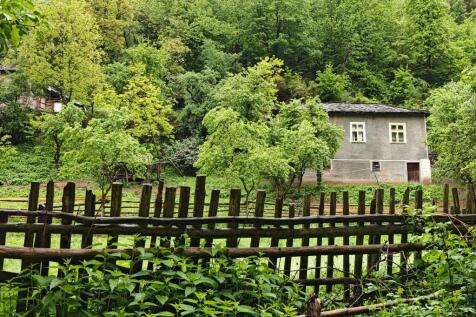 Property Image 11