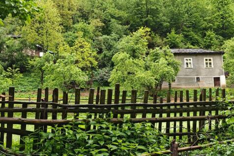 Property Image 33