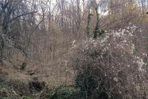 Property Image 69
