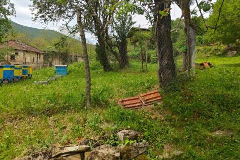 Property Image 36